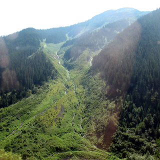 Mountainside Creekbed in Glacier Park