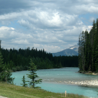Bow River near Lake Louise